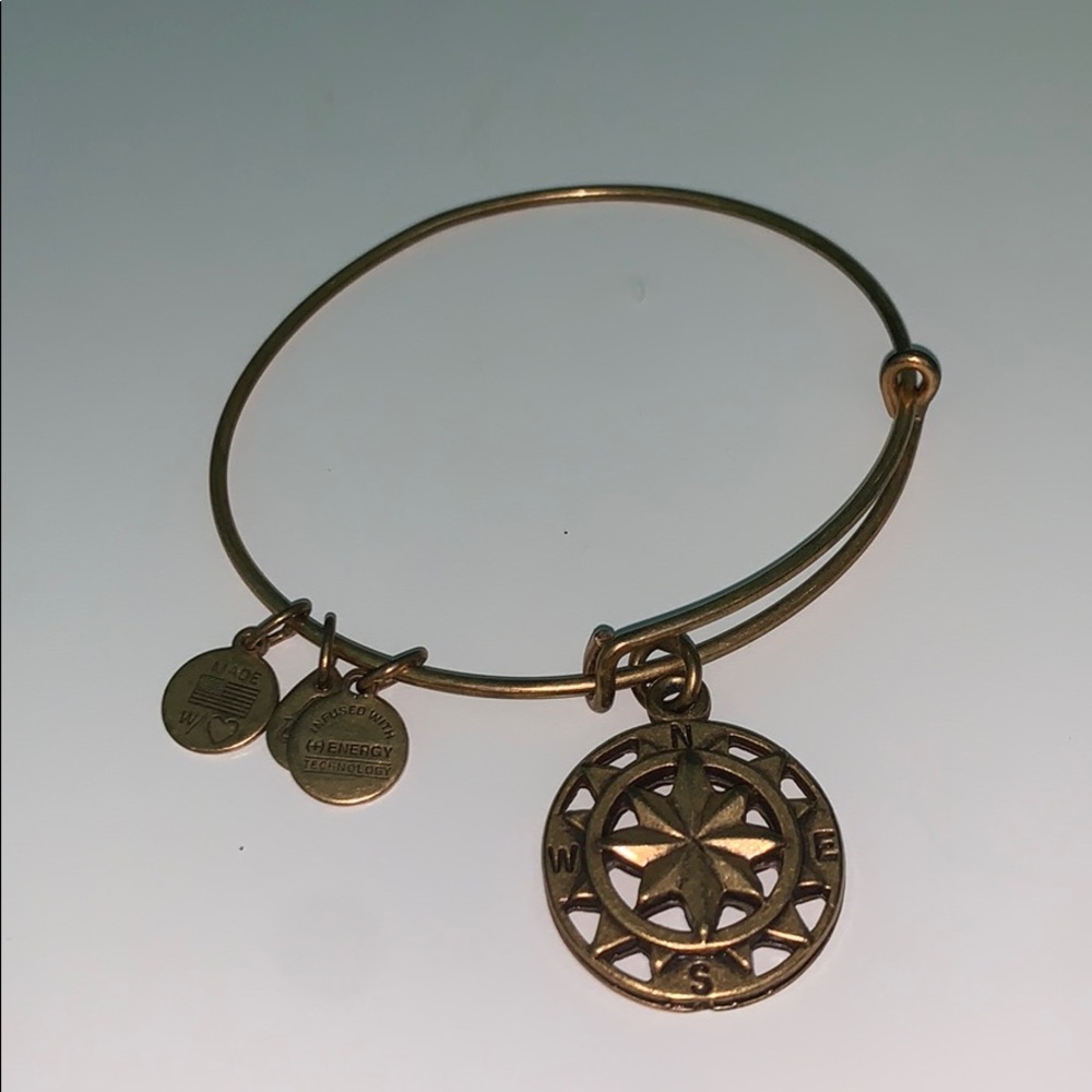 Alex and Ani Navigator Bangle